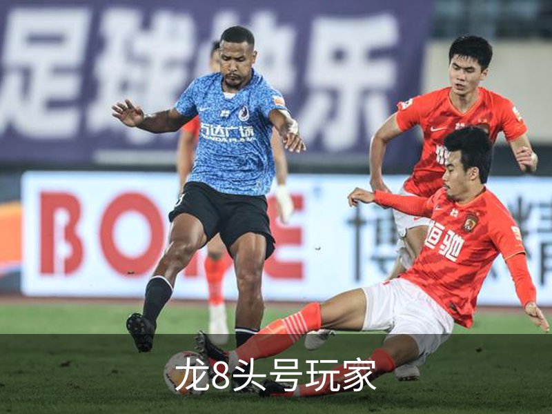 龙8头号玩家介绍